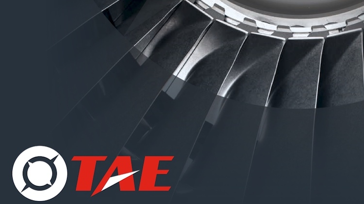 TAE logo