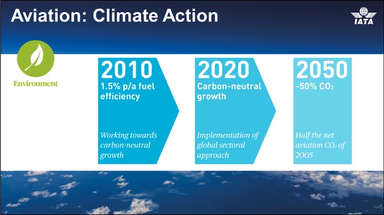 A graphic of IATA's carbon targets between 2010 and 2050. (IATA)