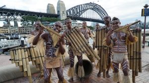 Hageulu Panpipers from the Solomon Island's at Sydney's Circular Quay. (Solomon Airlines)