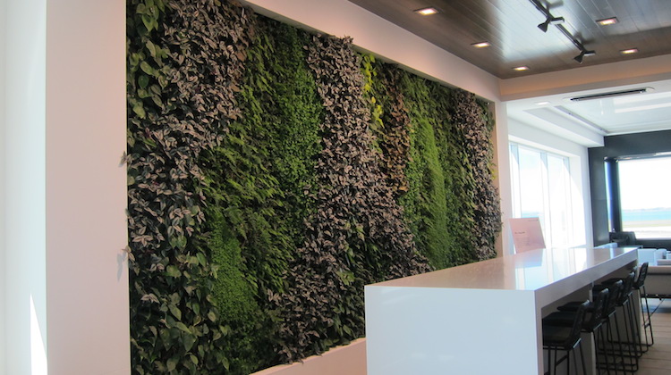 The outdoor terrace of the lounge is highlighted by a living wall. (Jordan Chong)