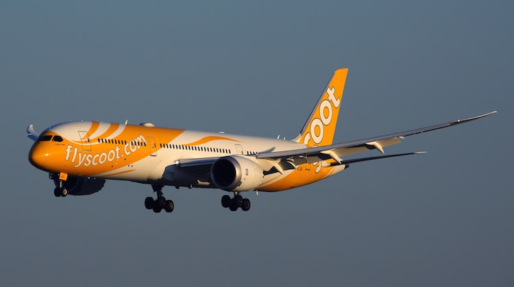 A Boeing 787-9 in Scoot colours. (Rob Finlayson)