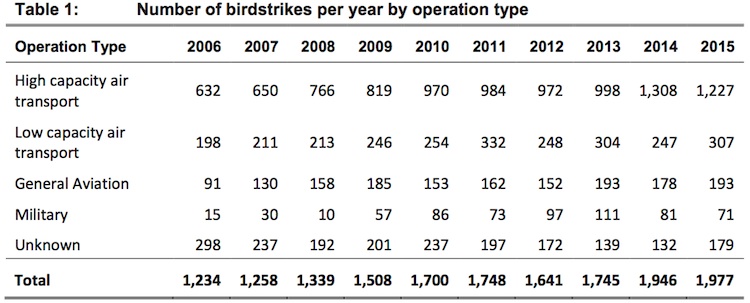 ATSB figures showing number of birdstrike incidents. (ATSB) 