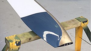 The composite main rotor blades.