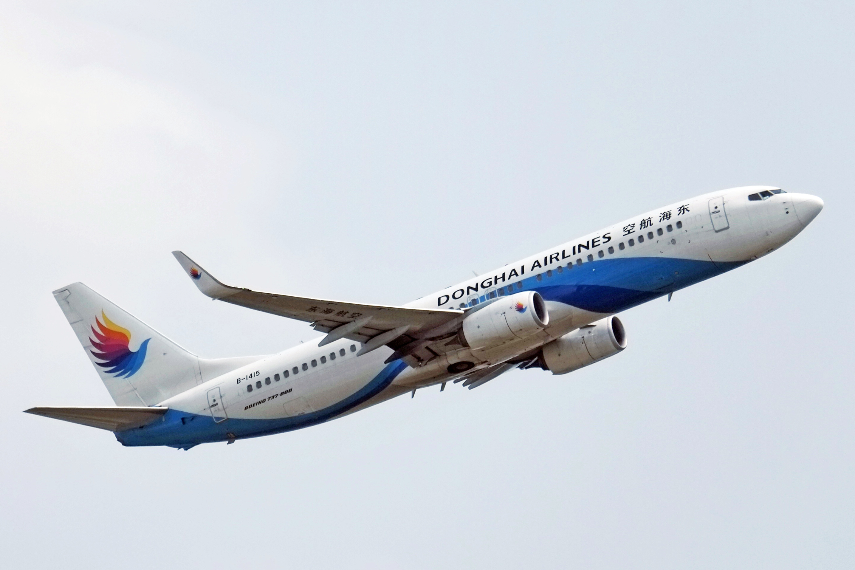 A file image of a Donghai Airlines Boeing 737-800. (Windmemories/Wikimedia Commons)