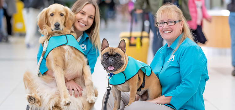 The Gold Coast Airport dog therapy team. (Gold Coast Airport)